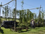 Hop garden